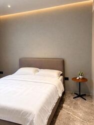Cuscaden Reserve (D10), Condominium #627405901